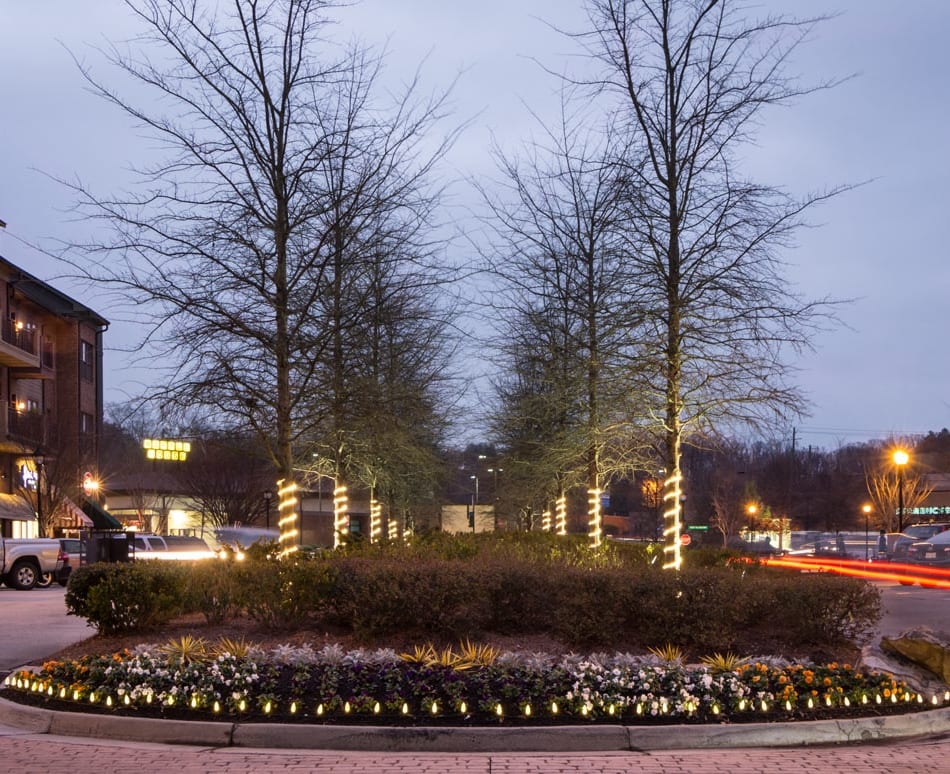 Why You Should Invest In Commercial Landscape Lighting