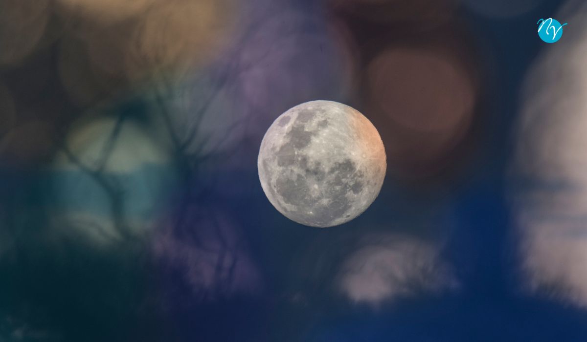 Artificial Moonlight: What It Is And How To Use It?