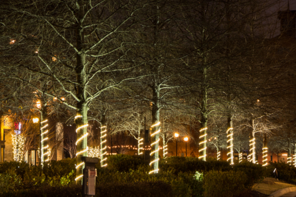 outdoor lighting for backyard parties