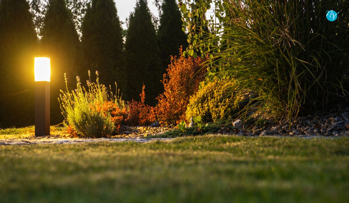 10 Places to Install Landscape Lighting Around Your Home