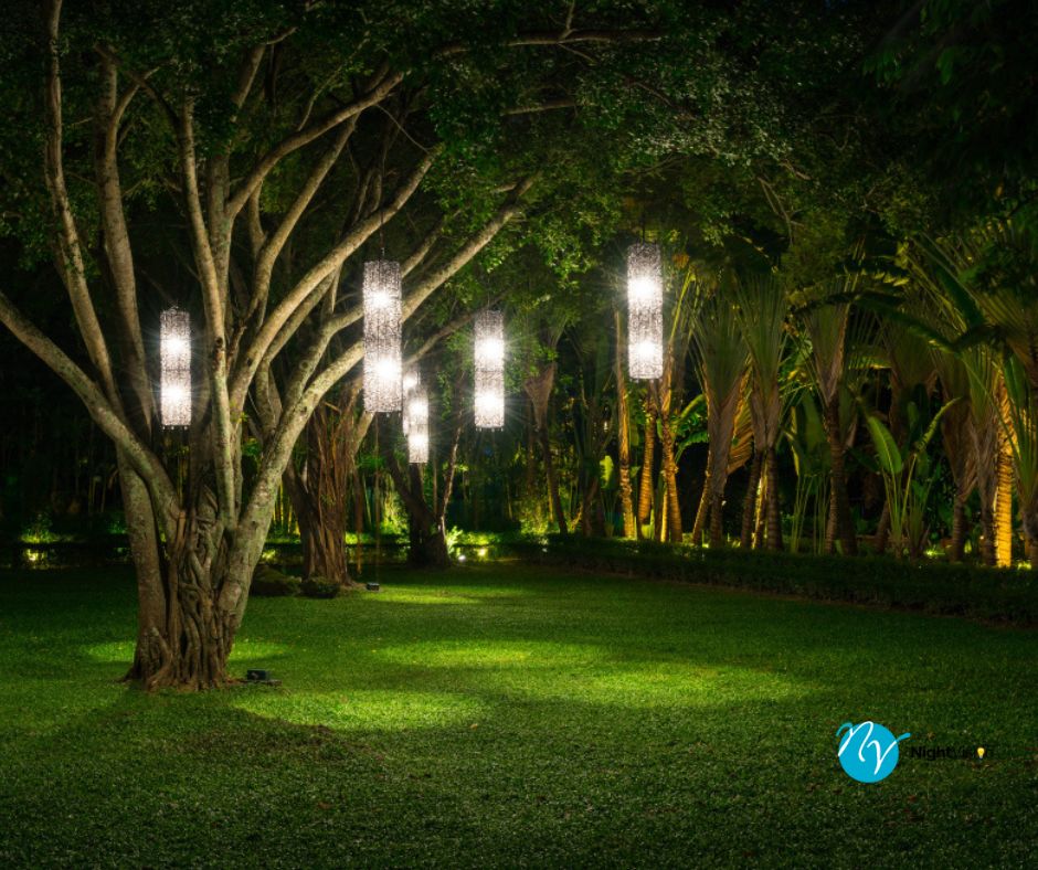 10 Outdoor Tree Lighting Ideas For Your Home