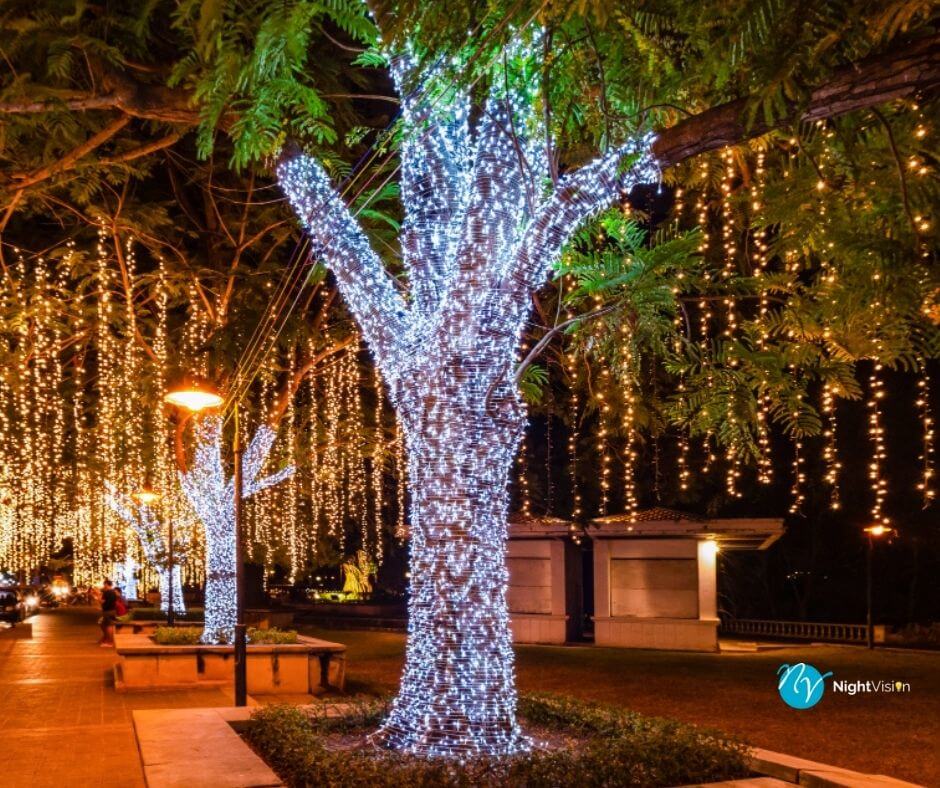 Tree Light Symphony: A Garden Illumination Guide