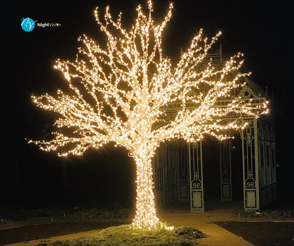 Tree Glow: Lighting Up Your Landscape Canopy
