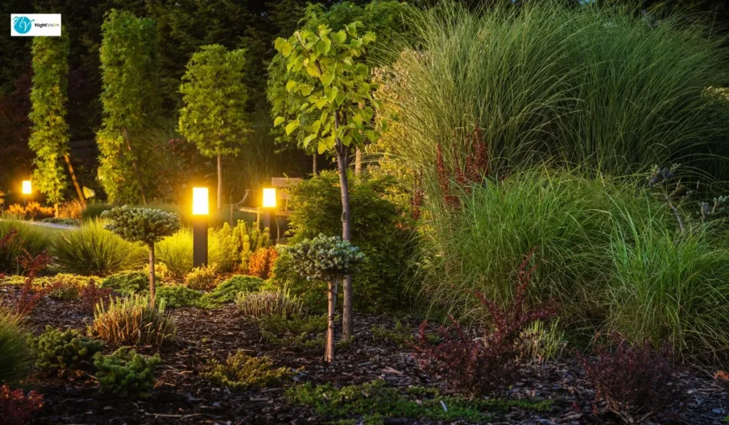 Landscape Lighting Specialists